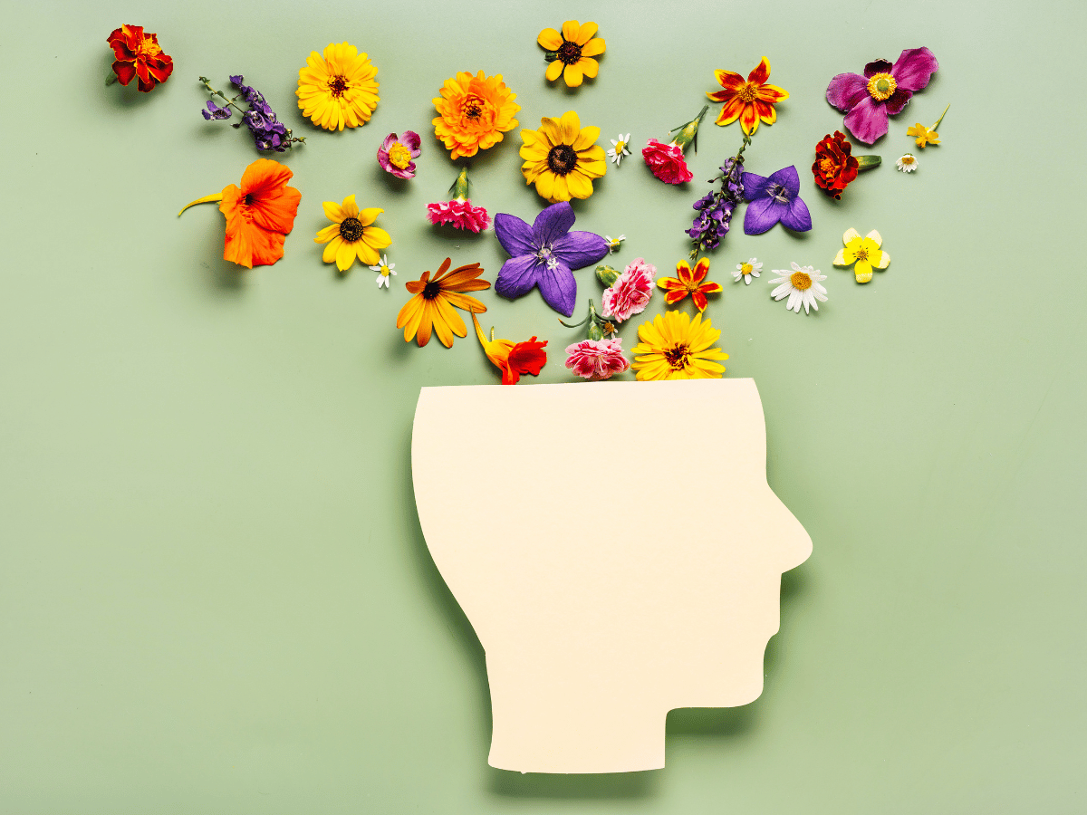 Melhore sua mentalidade no dia a dia com essas 7 estratégias eficazes. Desenvolva pensamentos positivos e hábitos saudáveis para uma vida mais leve e produtiva.